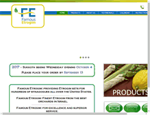 Tablet Screenshot of famousetrogim.com